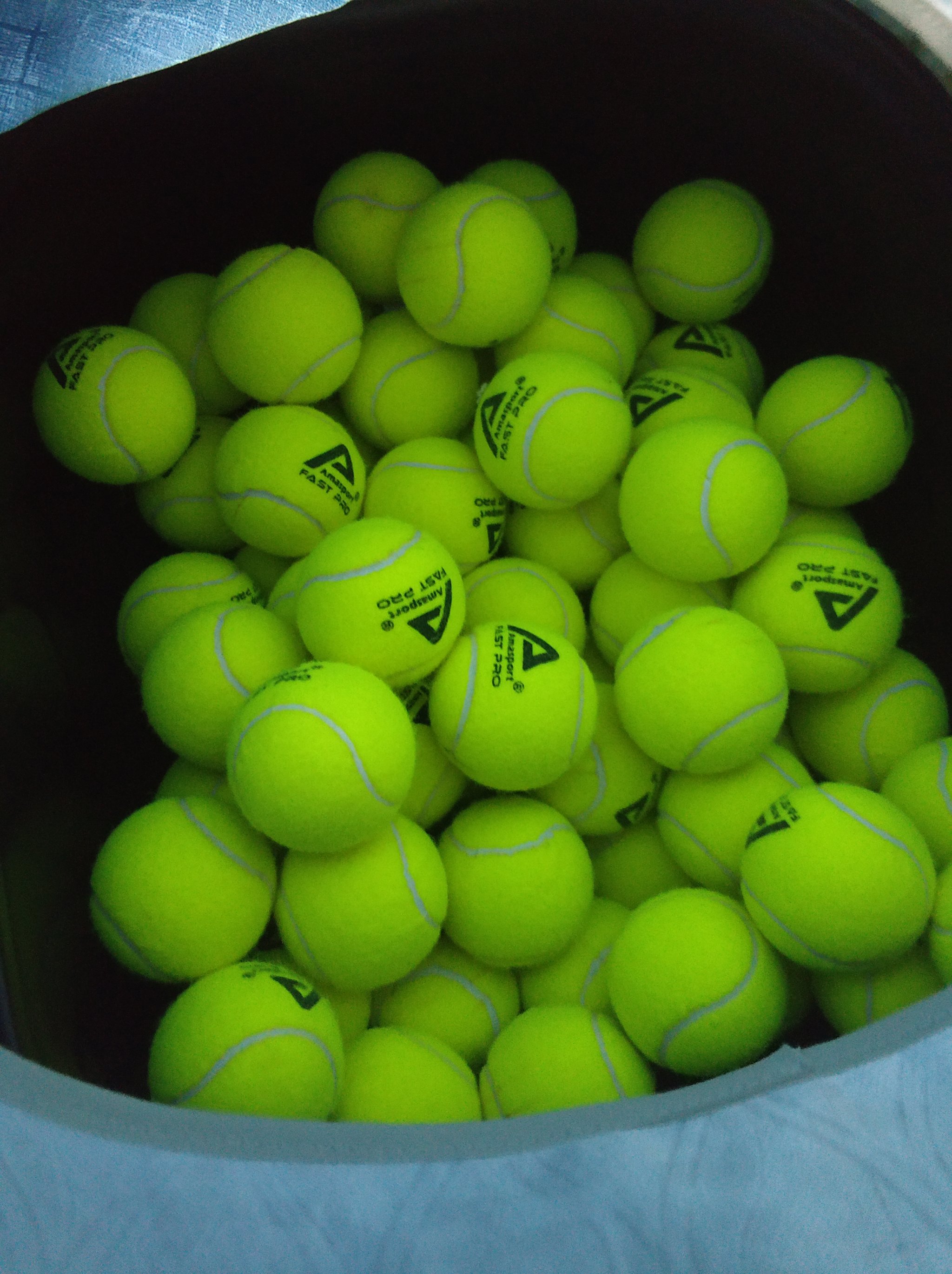 放弃罚球的 放弃罚球的